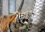 High Tensile Strength Animal Enclosure 316 Flexible Stainless Steel Cable