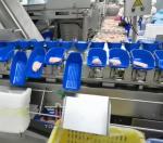 Safety Circular Multi Head Weight Sorting Machine For Sea Food 300 Times / Min