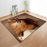 Animal New Cartoon Large Carpet Source Wholesale Feather ins Style Bedroom Floor