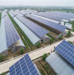30 Days Return Refunds Double Layer PE/Po Plastic Film Photovoltaic Solar