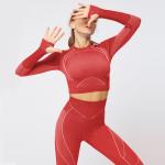 Ebay Amazon Ins line Jacquard seamless knitting long-sleeved gradient hollowed