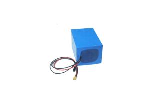 Quality Impact Resistance UPS 24v 12ah Lithium Ion Battery wholesale