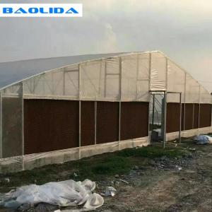 Quality Anti Insect Sides Ventilation Galvanized Frame Tunnel Greenhouse Polyethylene Film Greenhouse wholesale