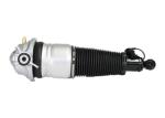Adaptive Rear VW Volkswagen Struts Phaeton Porsche Q7 7l8616019d