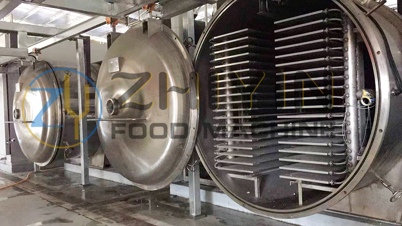 304 Stainless Steel Meat Freeze Dryer Lyophilizer Integrated