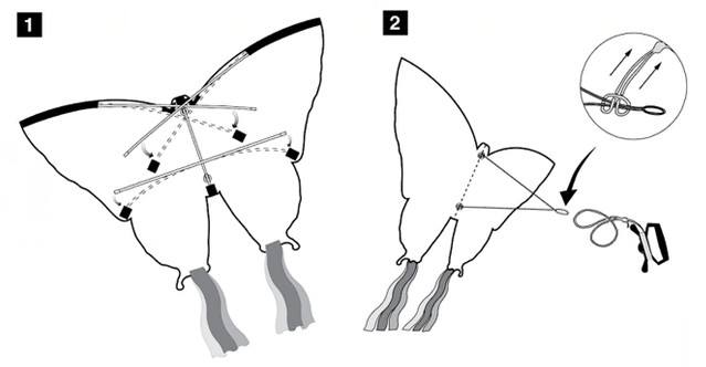 Stackable Butterfly Kite with Ripstop coated Fabric Material for beach sporting
