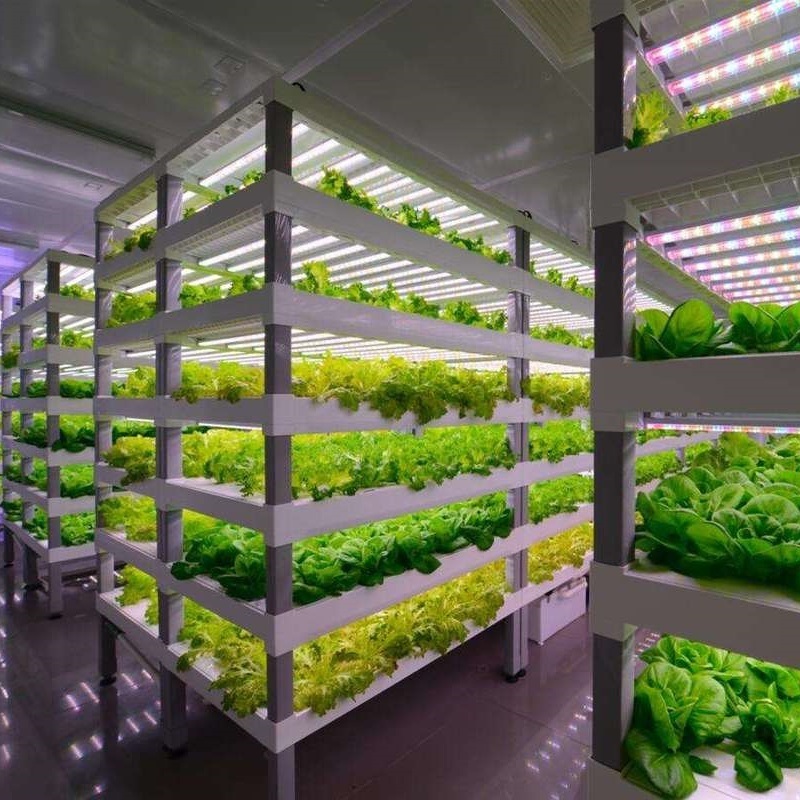 Leafy Greens Container Greenhouse Roofing Sheet