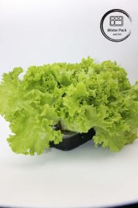 Quality Artificial Garden Vegetables and Fruits Plastic Seedling Trays Perfect for Decoration wholesale