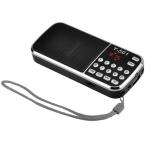 Handheld Battery Powered Radio With USB Port Bluetooth connectivity