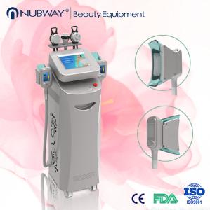 Quality Christmas Promotion! China Factory Hot Sales Best Cryolipolysis Fat Freezing Body Fat Removal Machine wholesale