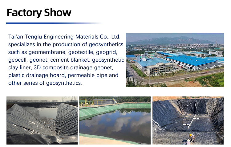 0.2mm Black Plastic Anti-Seepage Geomembrane with CE/ISO9001/ISO14001 Certifications