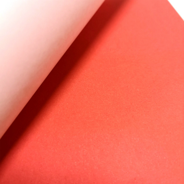 High Tensile Strength Dust Free A4 ESD Cleanroom Paper