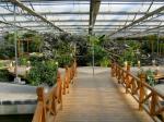 Easily Assembled DIY Glass Greenhouse , Glass Greenhouse Kit Waterproof