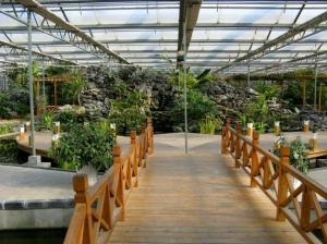 Quality Easily Assembled DIY Glass Greenhouse , Glass Greenhouse Kit Waterproof wholesale