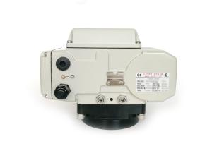 Quality Adjustable Dead Space 200Nm 30S 40W Compact Actuator wholesale