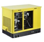 20KW Gasoline Generator YITENG Multi Fuel Generator with Electric Starting