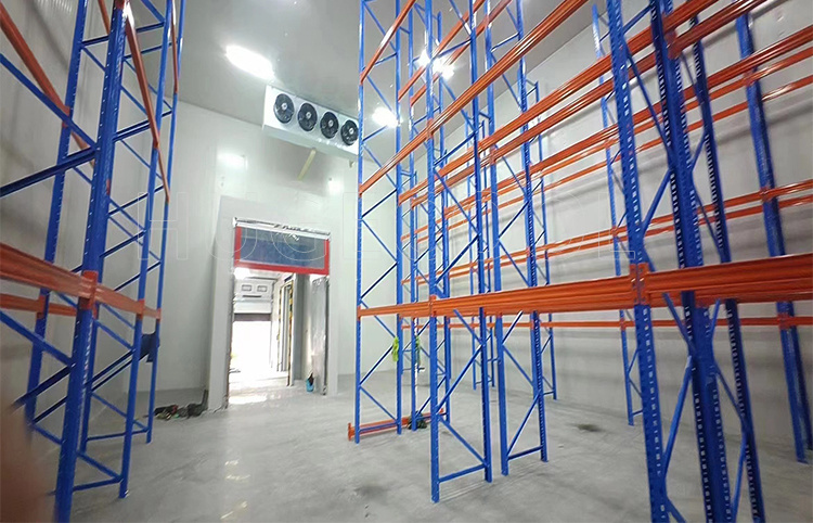 Chicken USA Cold Storage Blast Freezer Cool Room Freezer