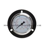 Stainless Steel Liquid Filled Pressure Gauges With Flange 1/4 BSP Back