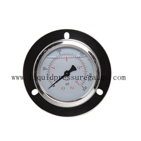 Stainless Steel Liquid Filled Pressure Gauges With Flange 1/4 BSP Back