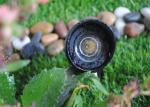 LED Landscape Spotlights , Low Voltage LED Garden Spotlights 5W / 12V