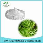 Hot Sale Low Price Cancer Treatment China Organic Fresh Artemisia Annua Extract