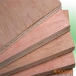 Bintangor Core 5 Ply 8.5mm Bintangor Plywood