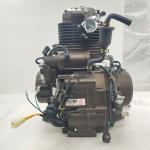 250cc DAYANG LIFAN Motorcycle Engine Assembly Single Cylinder Four Stroke Style
