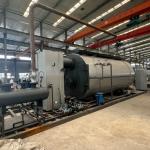 1 Ton 2 Ton 3 Ton 4 Ton Fuel Oil Diesel Natural Gas Boiler Combustion Gas