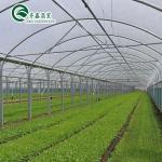 Large-Scale Farming Container with Multi-Span Agricultural Greenhouses