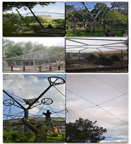 Cheap flexible stainless steel wire rope cable mesh netting for zoo for sale