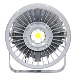 Quality IP66 LED Explosion Proof Lights 20W Maintenance free wholesale