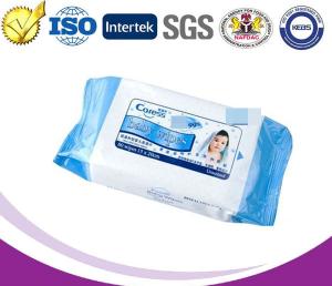 Quality High Quality and Lowest Price of Disposable Baby Wet Wipes wholesale