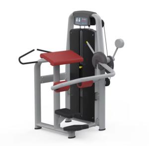 Quality Professional Strength Training Gym Equipment With High Quality wholesale