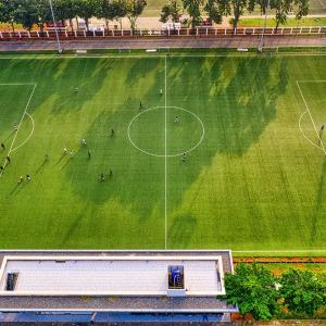 Quality 50mm PE School Artificial Outdoor Soccer Synthetic Grass wholesale