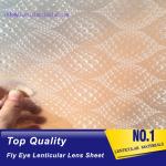 PLASTIC LENTICULAR 3d 360 fly eye lens sheet fly eye lenticular sheet arrays