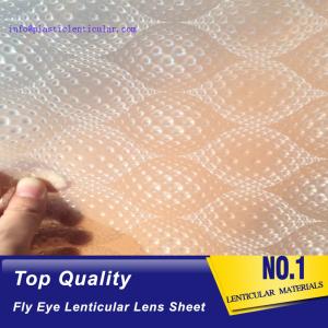 Quality PLASTIC LENTICULAR dot lens sheet both sides dot lenticular 360 3d lens sheet imported from Korea wholesale