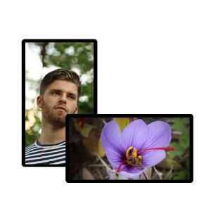 Quality Indoor WIFI Wall Mounted Digital Signage 55 Inch 1920*1080 High Resolution wholesale
