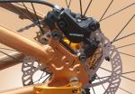 Private Label OEM 1000W 29 Inch Electric Mountain Bike