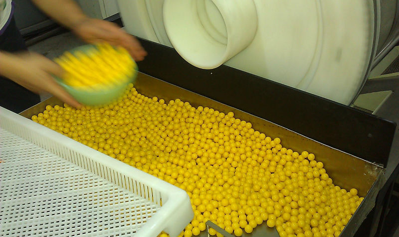 75 * 55 * 5cm Plastic PPE Tray For Drying Environmental Non-Toxic