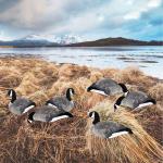 Lightweight 3D Lifelike Hunting Decoy Silhouett Canada Goose with Flocked Head