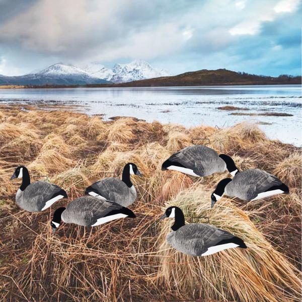 Upright Feeder 3D Silhouette Goose Hunting Decoy 5mm Thickness 1200g PP Board