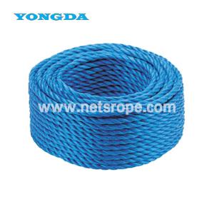 Quality 8mm 10mm 12mm PE Farm Rope for Animal Husbandry/Greenhouse/Trellis Support/Vine Training/Crop Binding wholesale