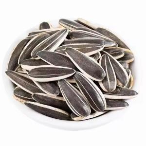 Quality Sunflower Seeds T5 The Ultimate Snack for Health-Conscious Consumers wholesale