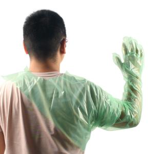 Quality 50PCS PE Disposable Neck Gloves with Enhanced Chemical and Tear Resistance wholesale