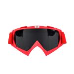 Anti - Fog Display Snow Ski Goggles Glass Snowboard Eyewear