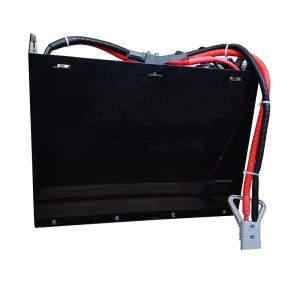 Quality Black Industrial 48v10ah Forklift Battery 25.6V 202AH OEM wholesale