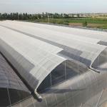 Water Heating System Korean Mode Film Agricultural Greenhouses for Year-Round
