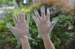 PE Household Daily Oil Proof 0.6g Disposable Hand Gloves