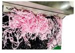 Curbside 2 LB Crinkle Cut Paper Shred Filler 100% Biodegradable
