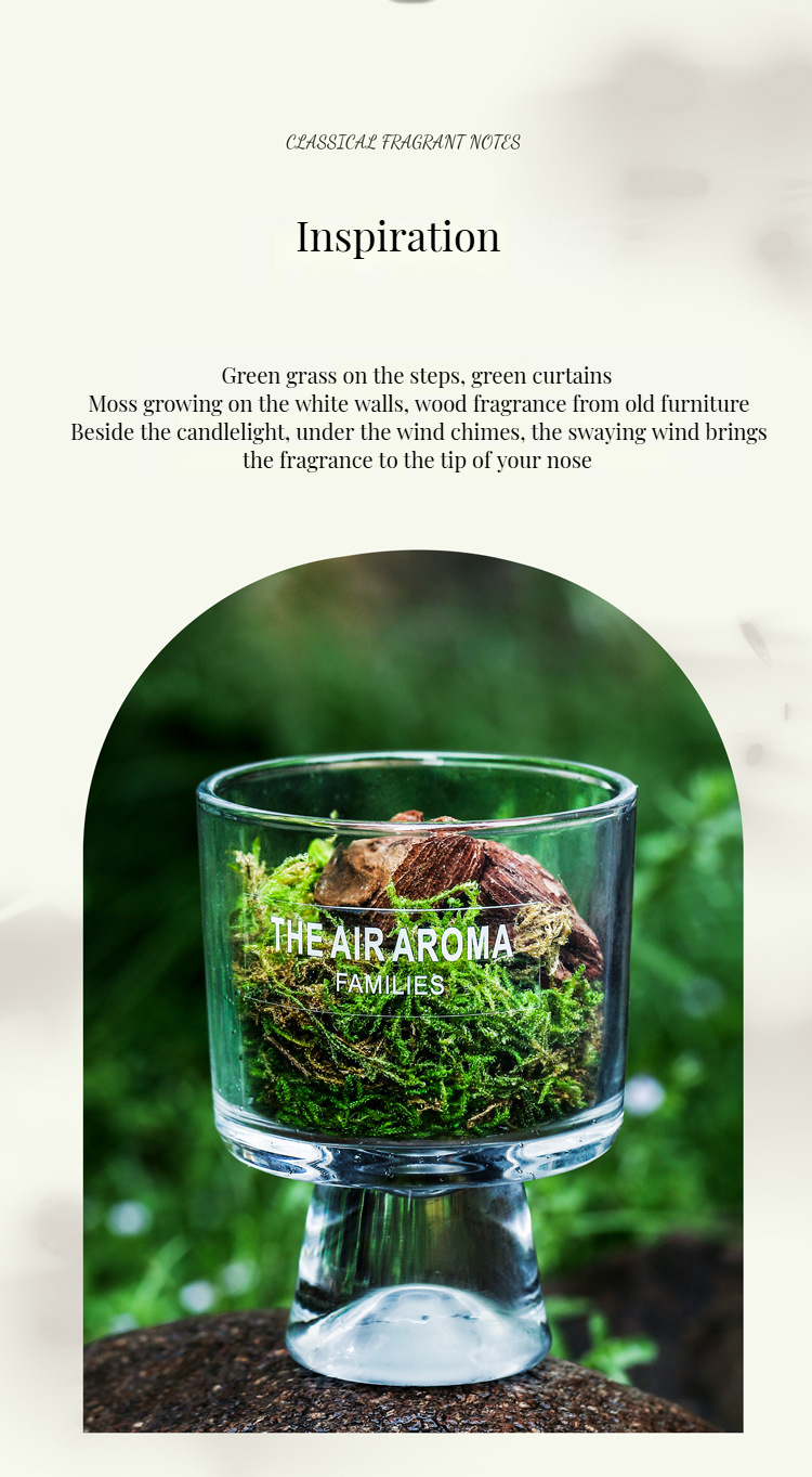 Customized Color Luxury 100ml Moss Reed Diffuser Set with Nature-Inspired Scented Oil
